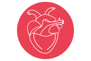 Qué son las cardiopatías congénitas