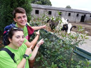 Camino de Santiago Jóvenes Menudos Corazones