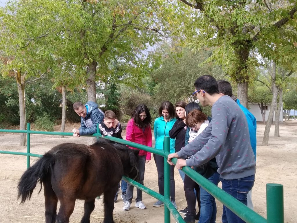 VI Convivencia de Jóvenes de Menudos Corazones