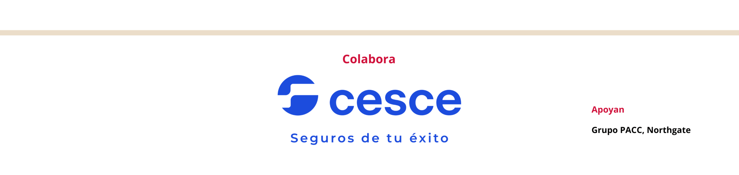 Colaboradores campamentos niños Menudos Corazones 2025